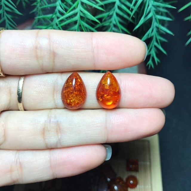 Hổ Phách Giọt Lệ