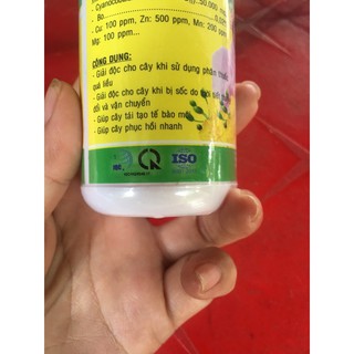 GIẢI ĐỘC CÂY KIỂNG VITAMIN B12