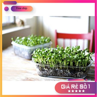 HG RAU MẦM CẢI NGỌT 50 GRAM LUCKY.VN