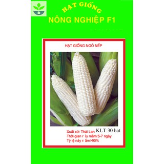 gói 30 hạt giống ngô nếp