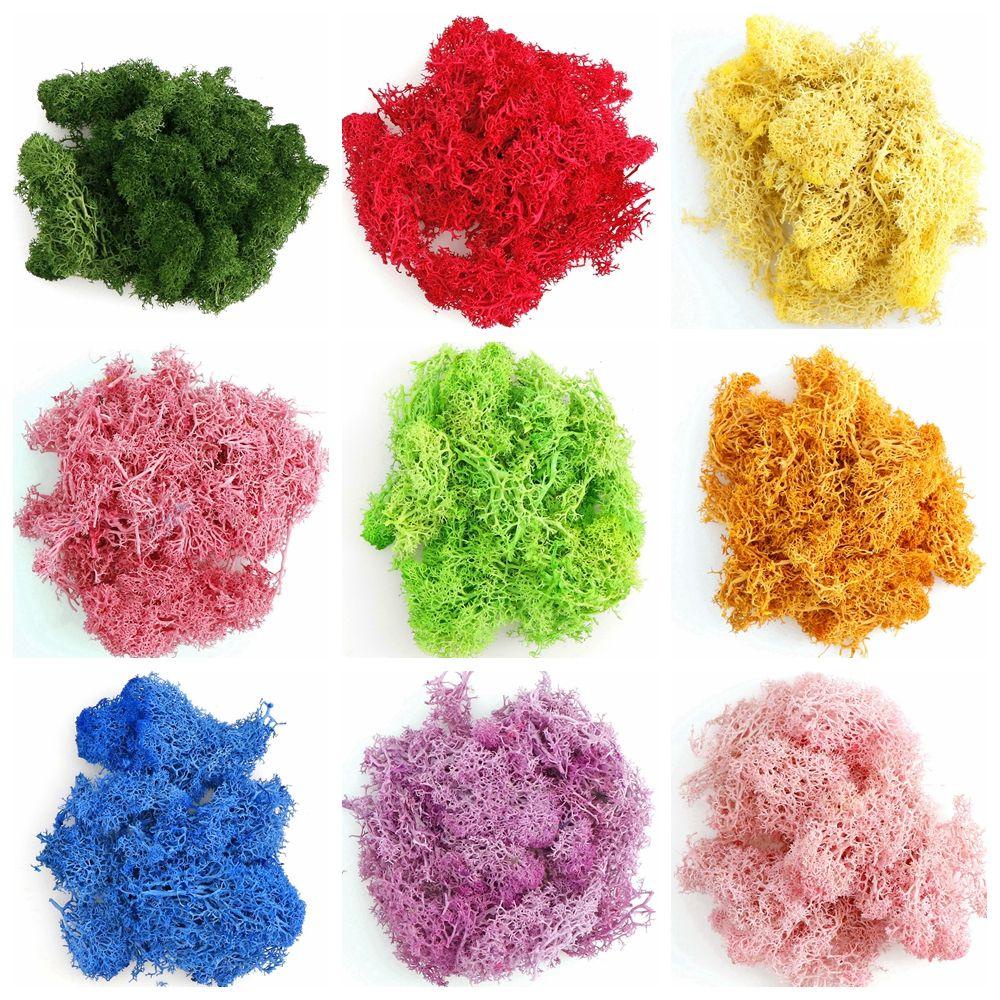 Cây Rêu Nhân Tạo Mini Trang Trí Phòng Khách