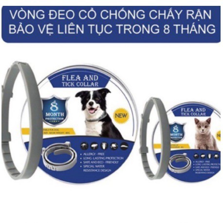 vòng cổ trị ve giận cho chó và mèo