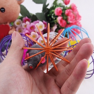 Đồ chơi bóng lồng chuột cho chó mèo