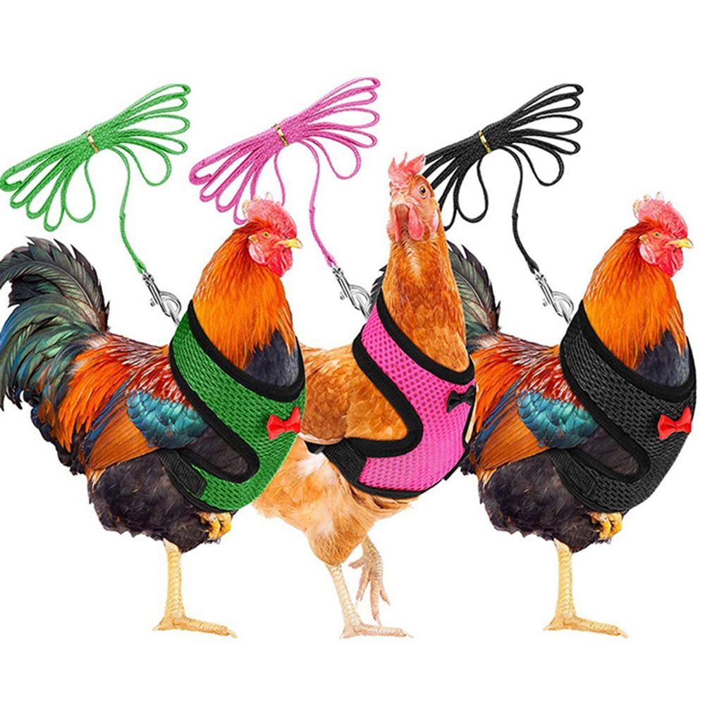 Áo Vest Kèm Dây Dắt Cho Thú Cưng Thiết Kế Thoải Mái Thời Trang