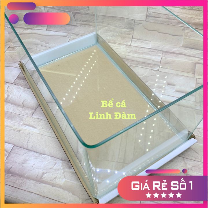 Bể Cá Chữ Nhật 40cm Kính Đúc Bo Góc Đẹp - Bể Cá Mini Dài 40cm