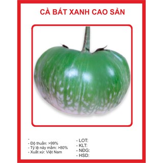 Hạt Giống Cà Bát Xanh Cao Sản - 1gr
