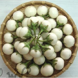 Hạt Giống Cà Pháo Trắng (1g)