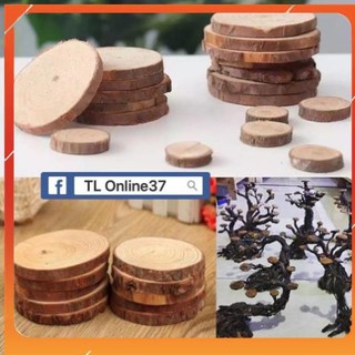 [Siêu Rẻ] Lát gỗ Lũa gắn rêu - Trang trí bể thuỷ sinh handmade - Xưởng Online37 [TS Online37]