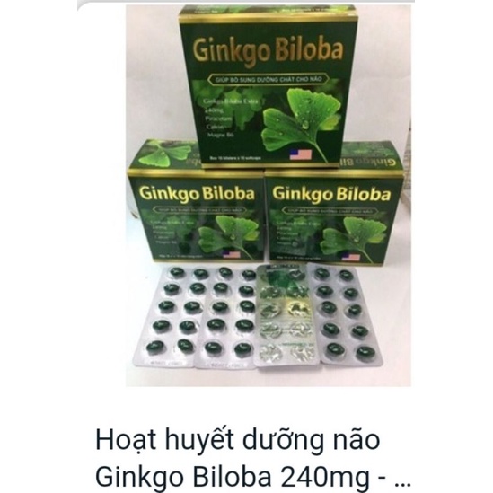 《Combo 10 hộp》 Bổ não ginkgo biloba 240mg hộp 100 viên