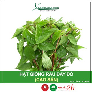 Hạt Giống Rau Đay Đỏ Phú Nông Gói 20 Gram