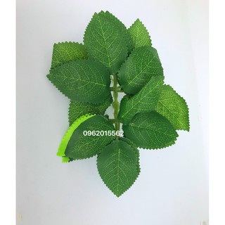 Hoa giả - 10 Lá hồng gân