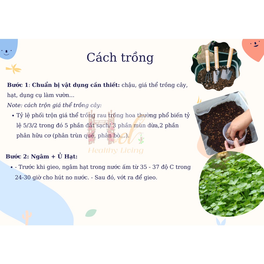 Hạt Giống Rau Ngò Rí Ngò Hạt Lớn Pháp - Trồng Hạt Giống Rau Củ Quả Bằng Đất Sạch, Xơ Dừa, Mùn Dừa Và Phân Bón Hữu Cơ