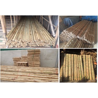 Combo 5 cây trúc trang trí làm đồ handmade, hàng rào...