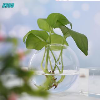 Chậu Hoa Thủy Tinh Treo Tường Trang Trí Nhà Cửa