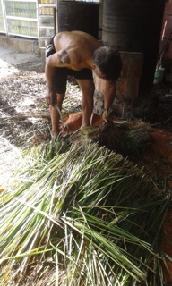 Tinh Dầu Sả Huynh Đệ