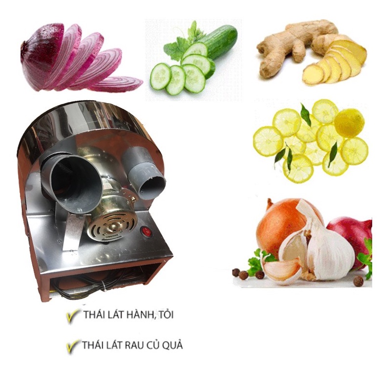 [RẺ NHƯ SỈ] máy thái hành chạy điện motor inox chuyên dụng cho nhà bếp, nhà hàng