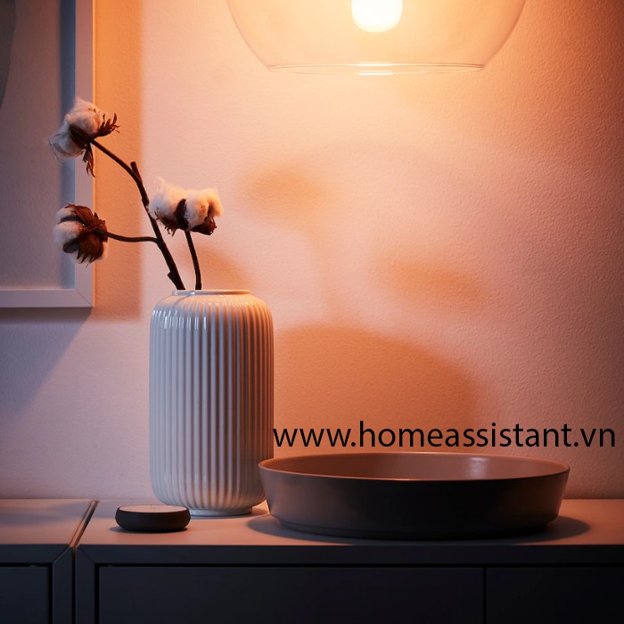 Nút Bấm Ngữ Cảnh Đèn Zigbee IKEA Tradfri TS01  Zigbee2MQTT ZHA Hass