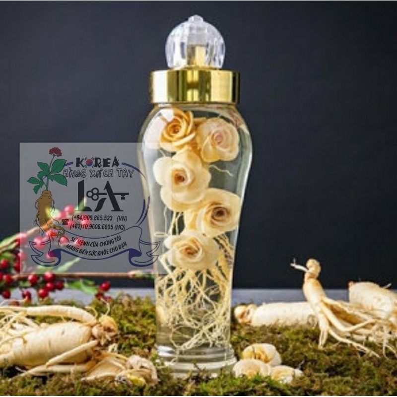 Nhân sâm Hàn Quốc hầm gà 6 năm tuổi  500g | BigBuy360 - bigbuy360.vn