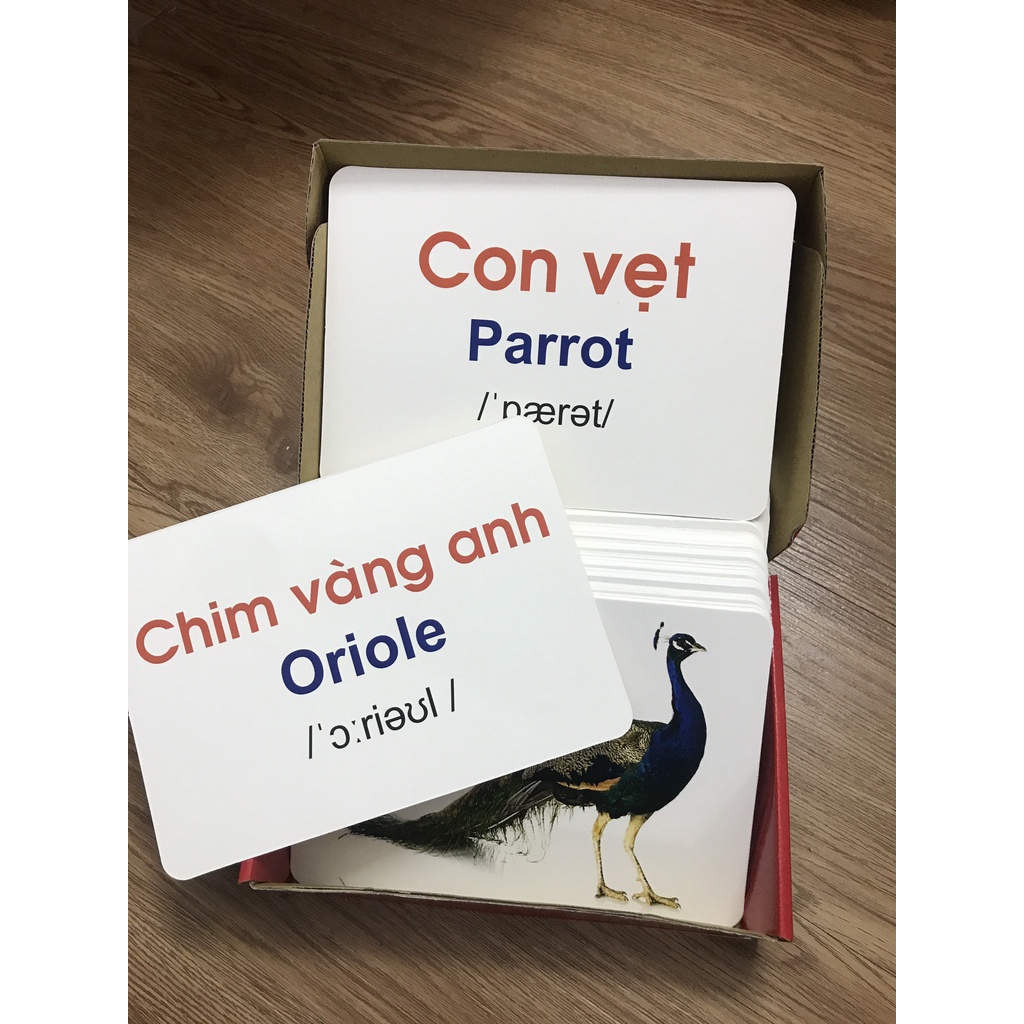Bộ thẻ học THẾ GIỚI XUNG QUANH khổ A5 (15x21cm) LOẠI TO cho bé- 100 thẻ