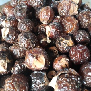 10kg bồ hòn khô tách hạt chín cây