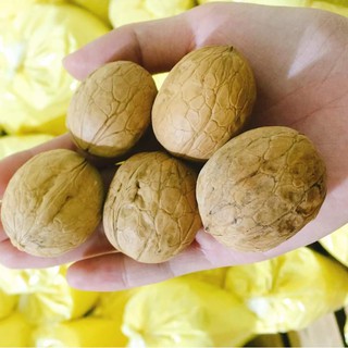 -SP- ⭕⭕ Hạt Óc Chó Vàng 500g [FREESHIP] [Có sẵn]