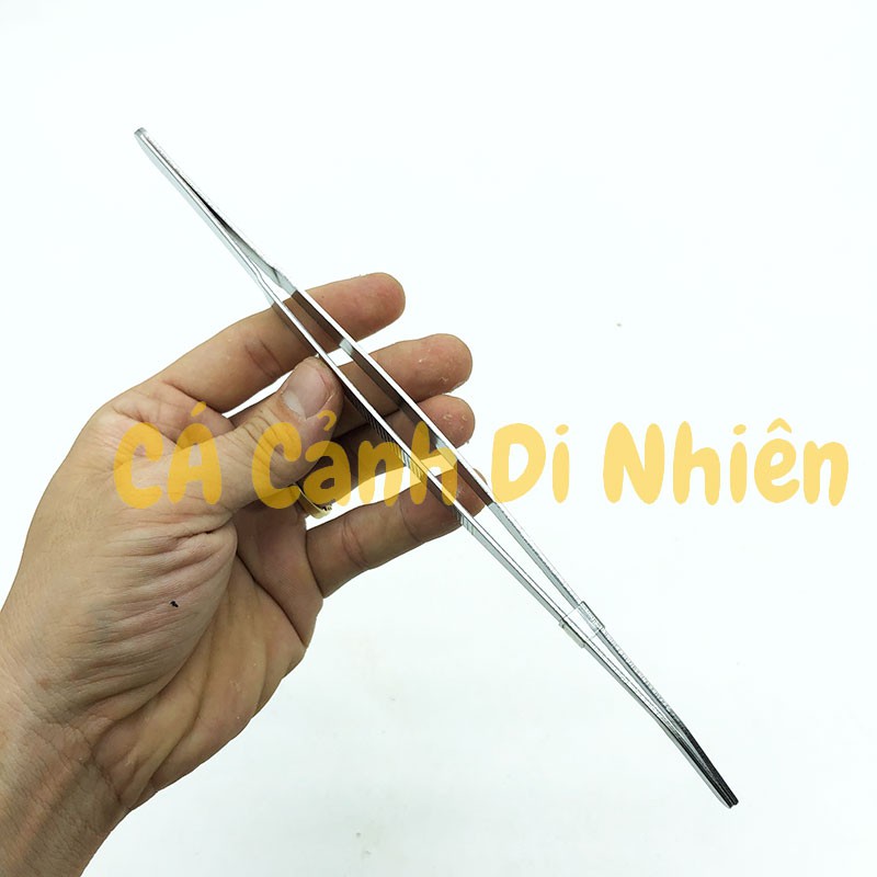 Nhíp mũi CONG trồng cây thủy sinh bằng inox SIZE 25 cm