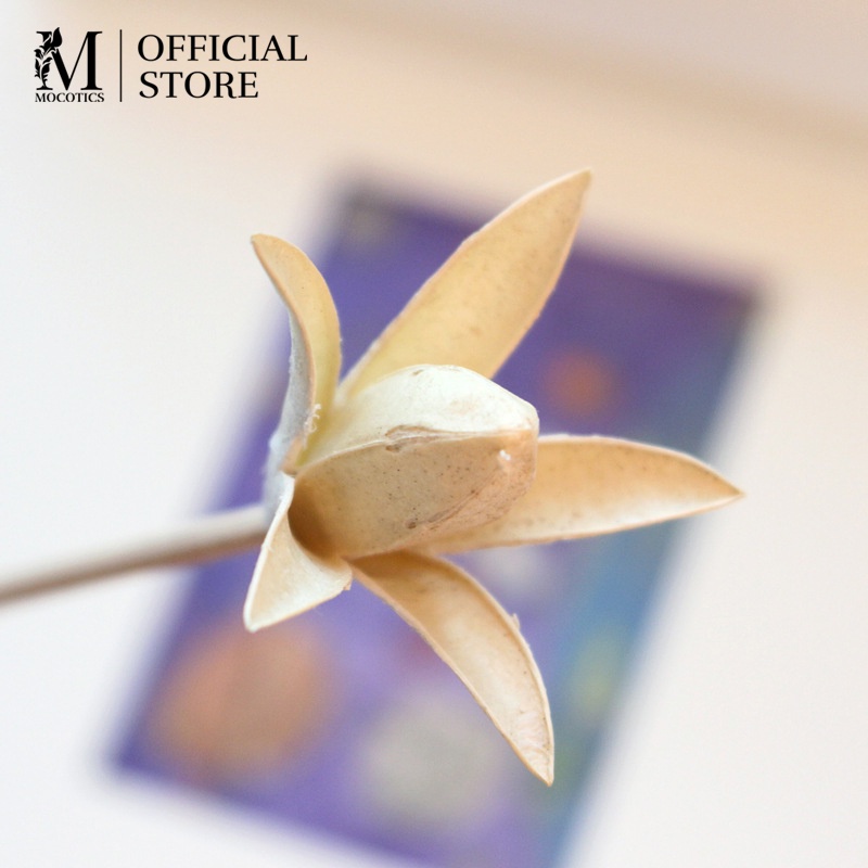 Que khuếch tán tinh dầu hình bông hoa nụ thơm phòng Mocotics giúp khử mùi và thay thế máy khuếch tán - đèn xông tinh dầu
