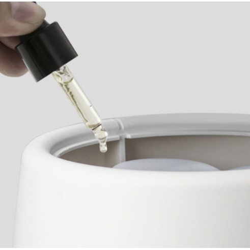 [Mã 254ELSALE giảm 7% đơn 300K] Máy phun sương Bear C50Q1, dung tích 4.5 lít, tạo độ ẩm không khí