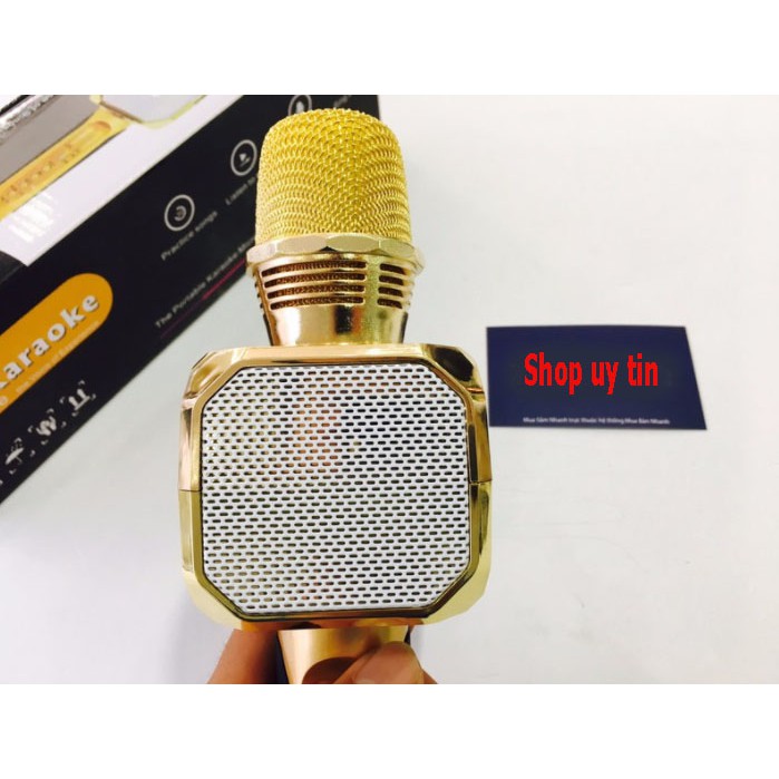 Micro kèm loa Bluetooth Karaoke SD-10  tặng đèn led