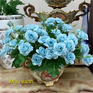 🌠chùm hoa hồng ngâu 5 màu