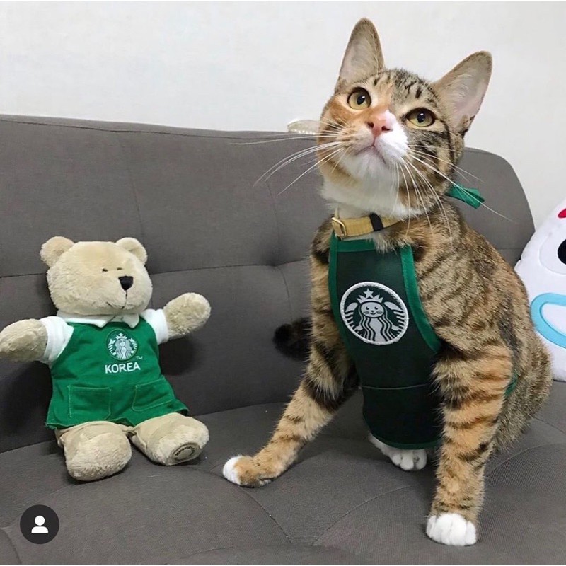 Yếm Đeo Starbucks Cho Chó Mèo Thú Cưng Siêu Cute Tặng Kèm Sticker Starbuck