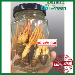 Đông Trùng Hạ Thảo Ký Chủ Nhộng Tằm Ngâm Rượu Biogreen