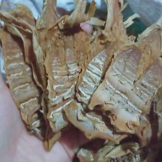 Măng nứa khô