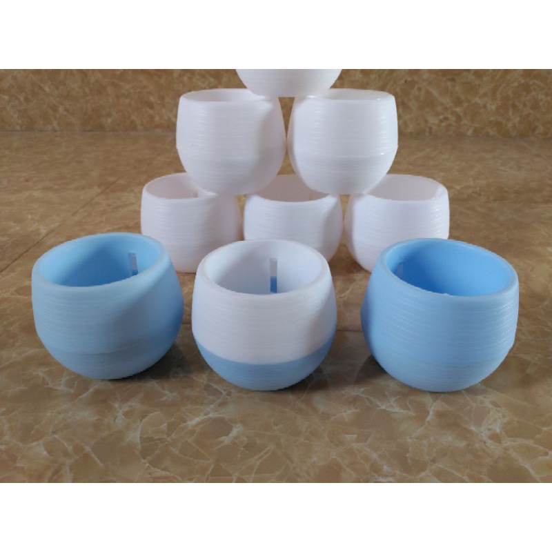 Chậu trồng cây mini