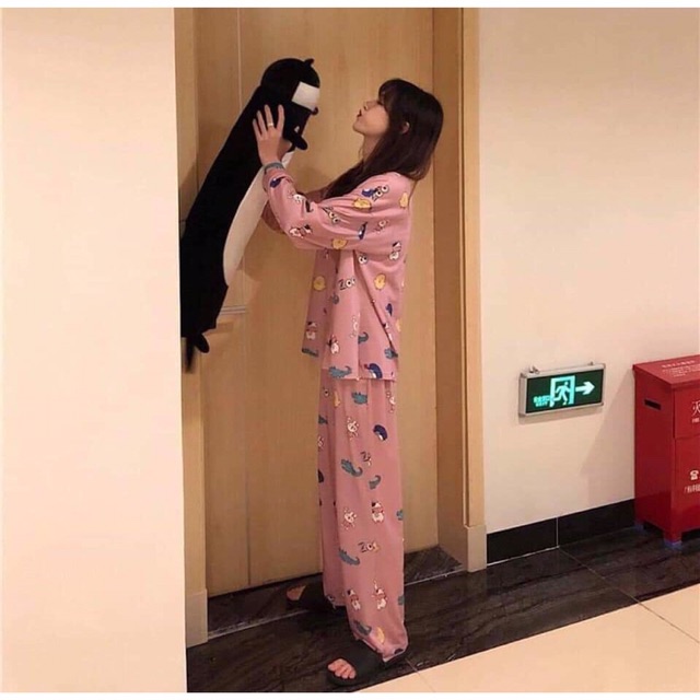 [ Giá sỉ ] Bộ quần áo ngủ đồ ngủ nữ dễ thương | BigBuy360 - bigbuy360.vn