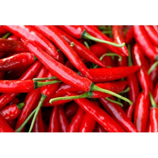 Ớt Bột Vipep 500gr - Bỏ Sỉ