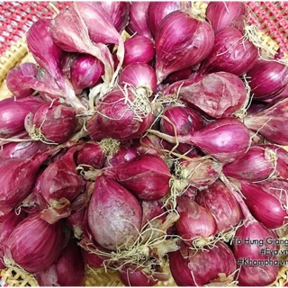 Hành tím Lý Sơn loại 1 ( 1 kg )