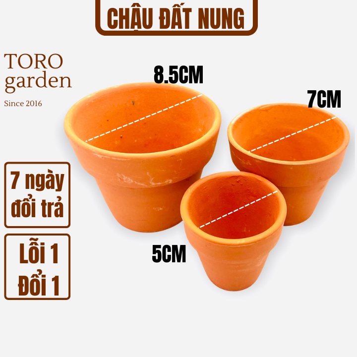 CHẬU ĐẤT NUNG ĐƯỜNG KÍNH 5-8.5CM 🎁 SIÊU PHẨM TRỒNG SEN ĐÁ 🎁