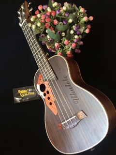 Đàn ukulele Concert Full CA120 CB1