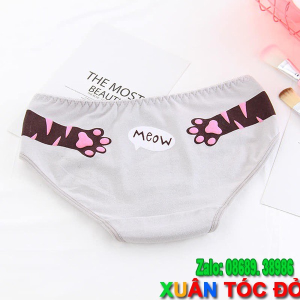 SỈ ZALO RẺ HƠN NHIỀU_ Quần Lót Mèo Luôn Luôn Đúng Mà 5053 | BigBuy360 - bigbuy360.vn
