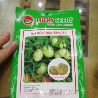 Hạt giống dưa Pepino f1