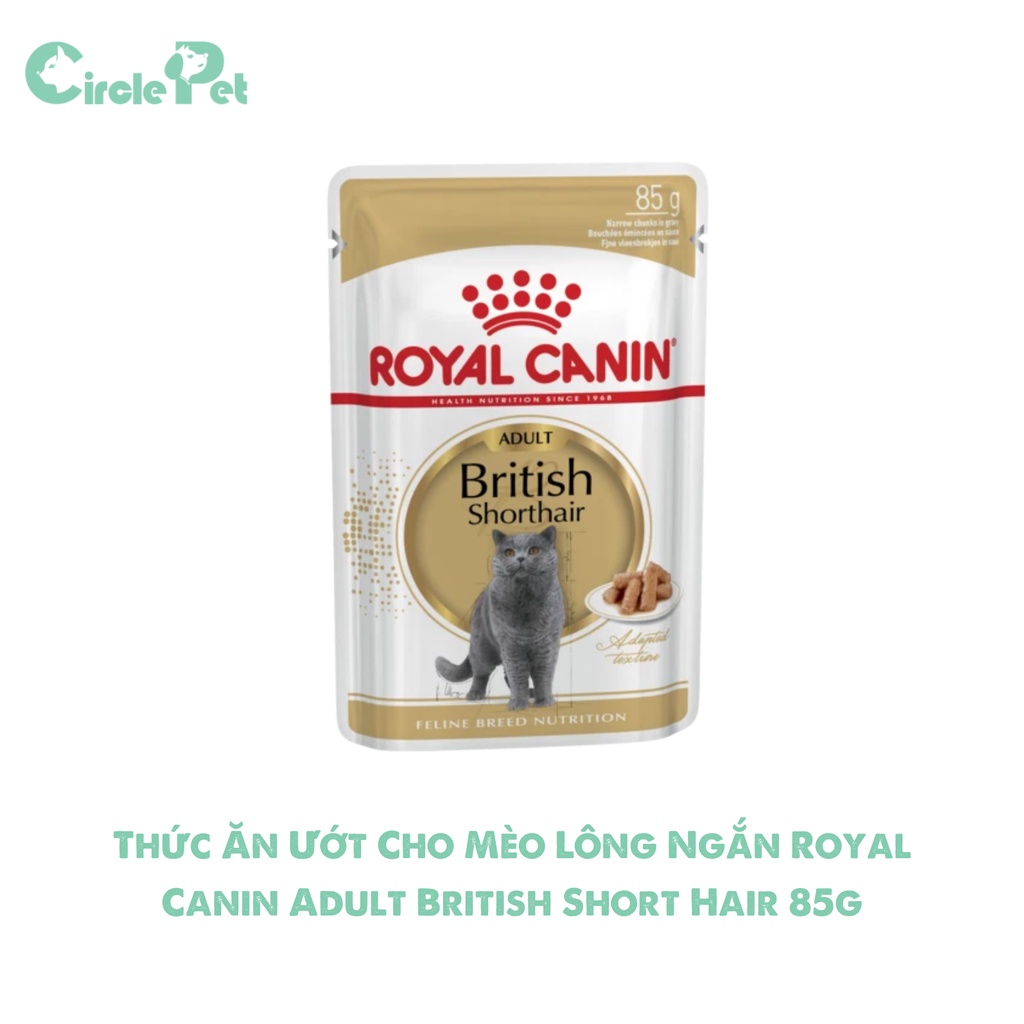 Thức Ăn Ướt Cho Mèo Lông Ngắn Royal Canin Adult British Short Hair Dễ Dàng Tiêu Hóa 85g - Circle Pet