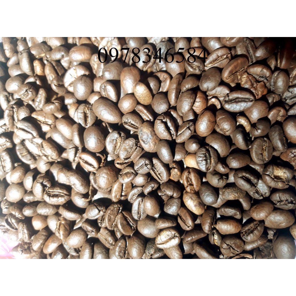 ComBo 1 kg cà phê rang mộc nguyên chất Đăk Lăk   - PHONG COFFEE