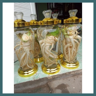 Rễ Đinh Lăng Khô ( Thái Lát 1kg)