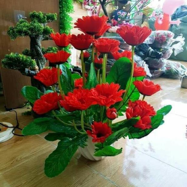 Cụm hoa Cúc đồng tiền 10 bông hoa to -hoa lụa Cây hoa giả trang trí nhà cửa ,sự kiện trang trí,phòng khách và khách sạn