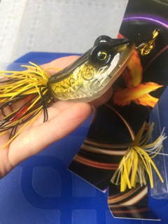 Mồi câu lure