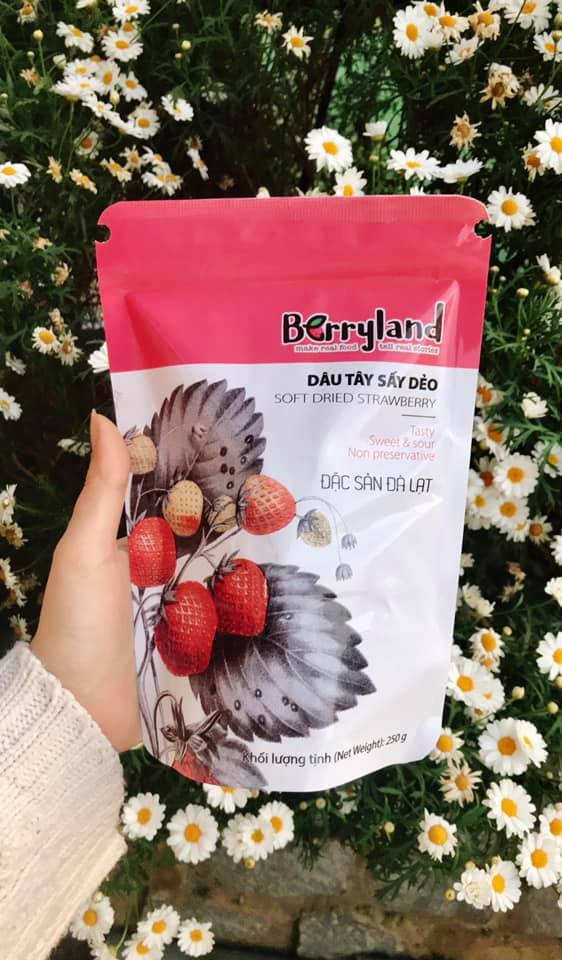 Dâu tây sấy dẻo  Đà Lạt  BerryLand 250g