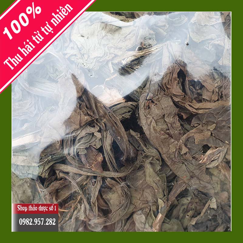 Lá Khôi cây khôi nhung-1KG CTY TD Số 1