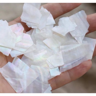 Phụ kiện xà cừ trắng lẻ 1 hũ
