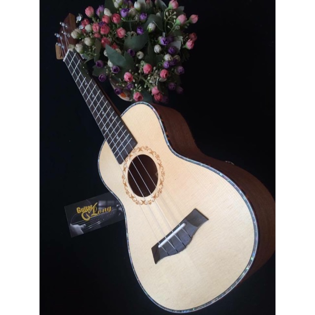 Đàn ukulele concert MT800 CB2